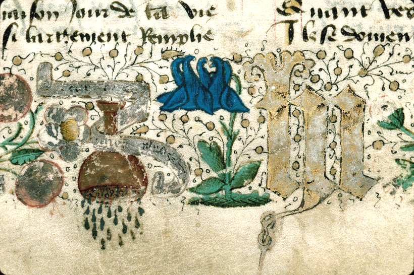 La fleur d'ancolie associ&eacute;e aux devises de Marie de Cl&egrave;ves, Recueil des po&eacute;sies de Charles d&rsquo;Orl&eacute;ans (Carpentras, BM, ms. 0375, 1457)&nbsp;

&nbsp;

[1]&nbsp;.